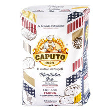 Laden Sie das Bild in den Galerie-Viewer, Mehl Typ 0 - Caputo Manitoba Oro (Weizenmehl) - 25.stunden.BROT