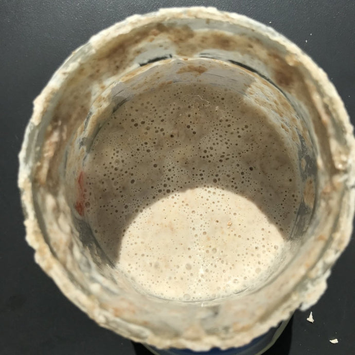 Sauerteig, Anstellgut, Starter - was ist der Unterschied