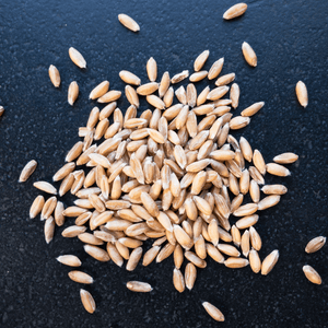 Bio-Dinkel Flocken - 25.stunden.BROT