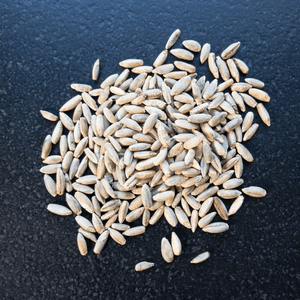 Bio-Roggen Flocken - 25.stunden.BROT
