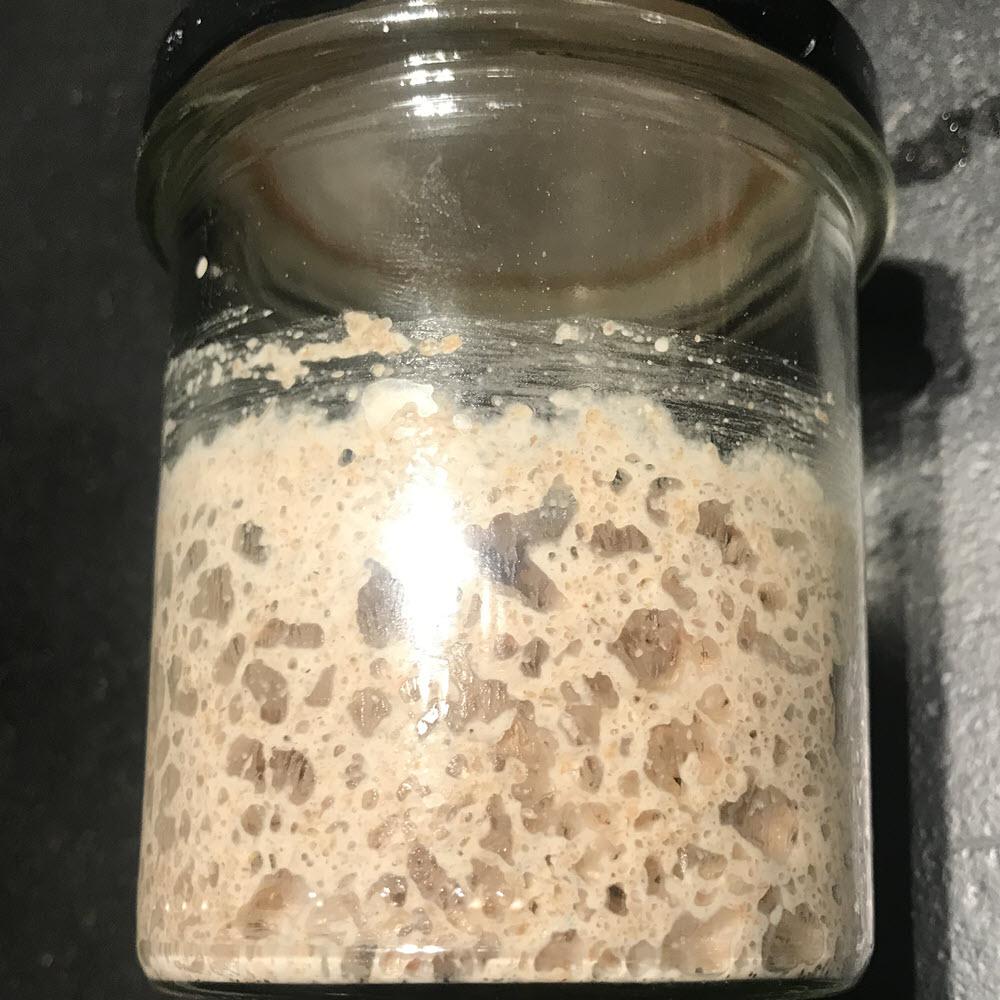 Bio Sauerteig Anstellgut Weizen - 25.stunden.BROT